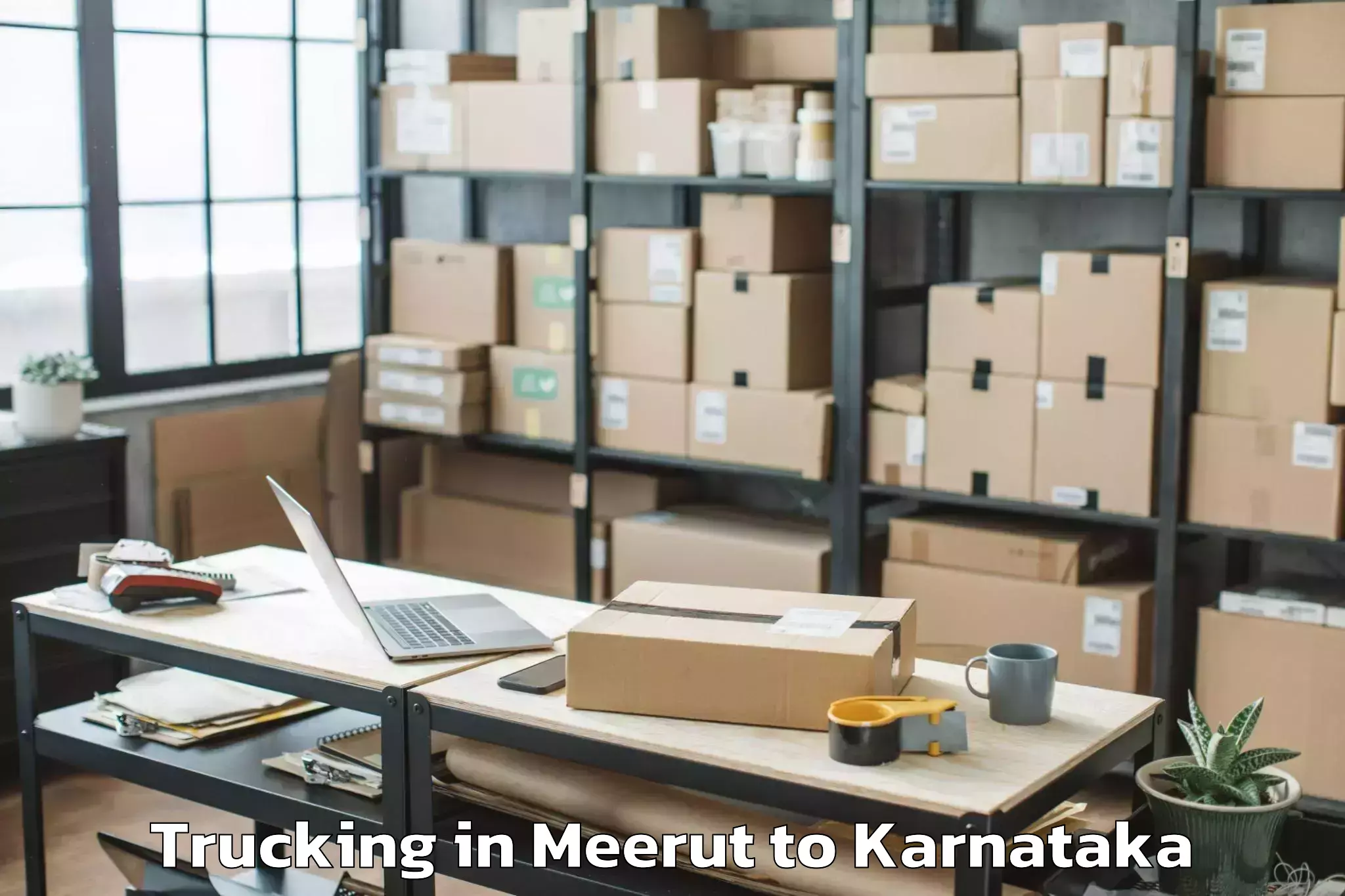 Book Meerut to Harugeri Trucking Online